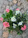 20250513_124011.webp