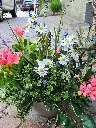 20250513_124002.webp