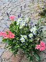 20250513_123955.webp