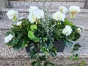20250513_172623.webp