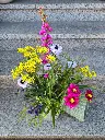 20240809_102252.webp