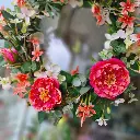 20230520_115557.webp